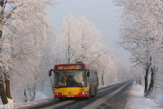 Autobusy 2009