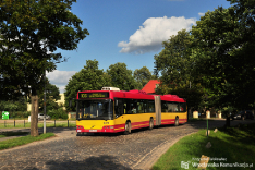 Autobusy 2017